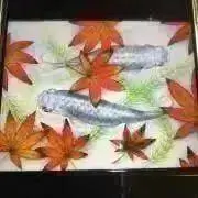 HARUの画像