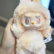 いかかの画像