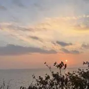 さとう