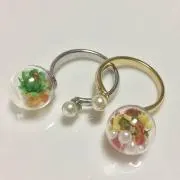 もゆの画像