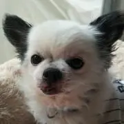 ふぅー