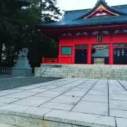 菊モコ