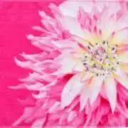 shi-tan.mama♡♡プロフ必読の画像