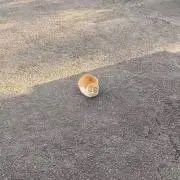 ゆん