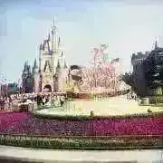 プロフ必読★彡次回発送7/9の画像