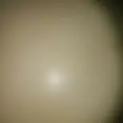 発送は火水木曜（祝日除く）