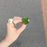 clover☘️の画像