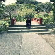 まちゃき