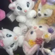 きの画像