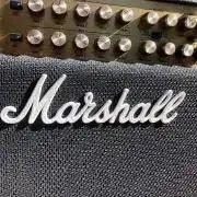 EDDIE 5150の画像