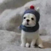 フレブルの画像