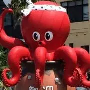 takotakoの画像