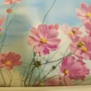 コスモスの画像