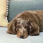 なっつ