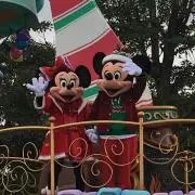 Daisyの画像