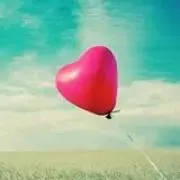 ヒロの画像