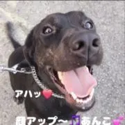 えっちゃんの画像