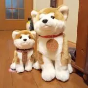 たおくんの画像