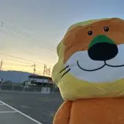 灬̤̬の画像
