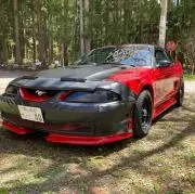 Pony40
