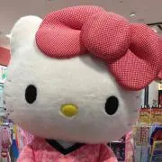 Shin-Kichiの画像