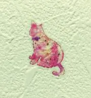 neko
