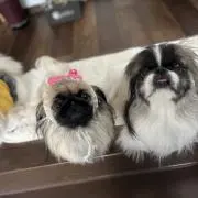 ☺︎あやちん