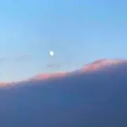 枝豆の画像