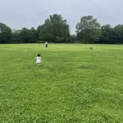 さとの画像