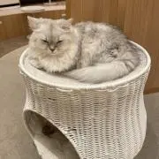 Ru♡