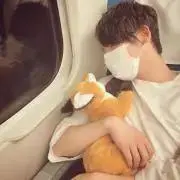 ぬん✿プロフ見てくださいの画像