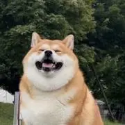 もこの画像