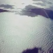 ニャンの画像
