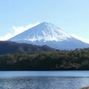 にょろの画像