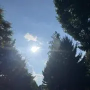 オンニの画像