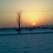 あゆの画像