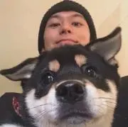 ヒ