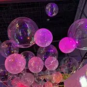 kittonの画像