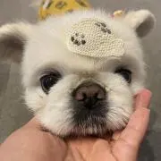 saya_3939の画像