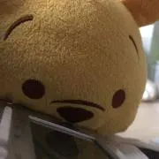 おーえるの画像