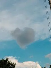 ヤマヒロ