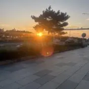 ひな
