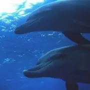hiloの画像