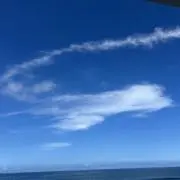 ももりんの画像