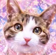ぴよ₍^.ˬ.^₎。。。 ᥫ᭡ˊ˗の画像