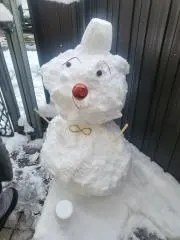 メリッサの画像