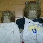 山五郎、まとめ買い大歓迎！！の画像