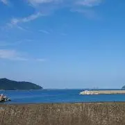 カメ