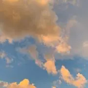 NNの画像