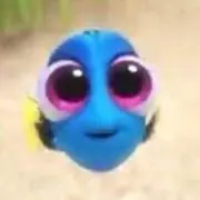 どり